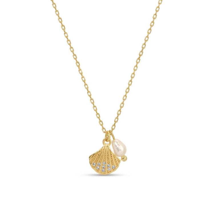 Scallop Shell Pendant Necklace with Freshwater Pearl