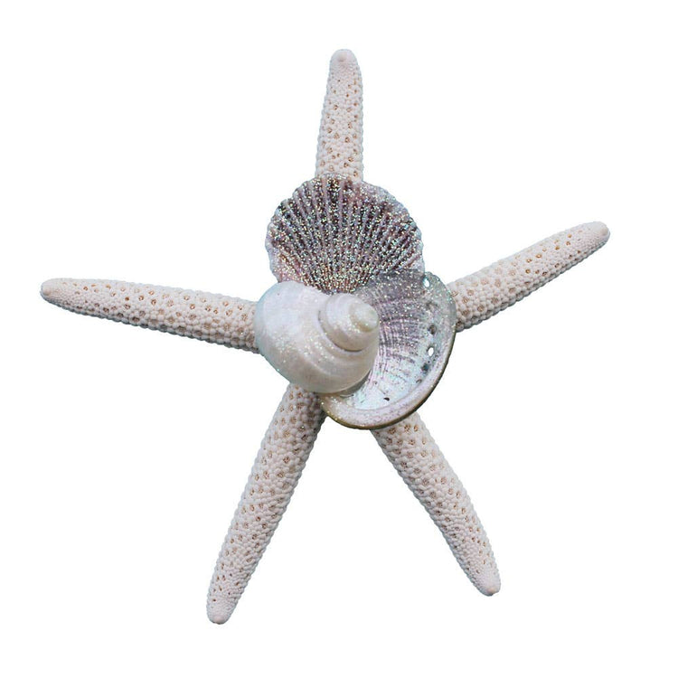 White Finger Starfish Collage Magnet