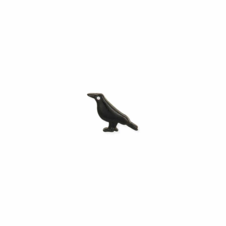 Literary Quotes Raven Post Earrings