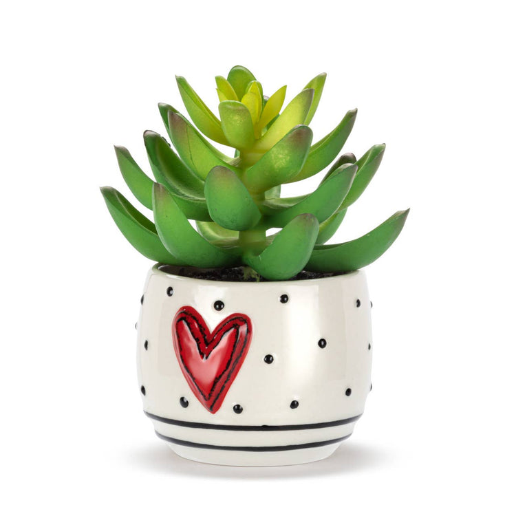 Mini Succulent - Heart & Dots