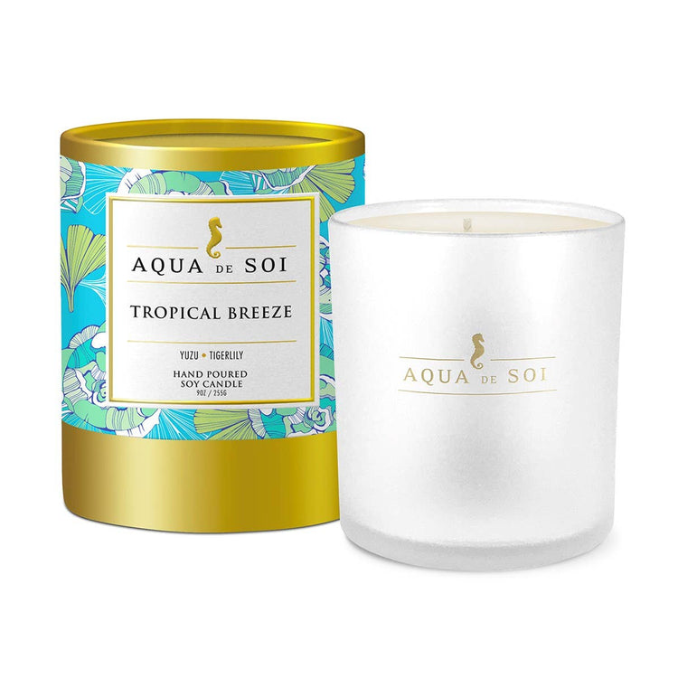 Tropical Breeze 9 oz Luxe Boxed Soy Candles