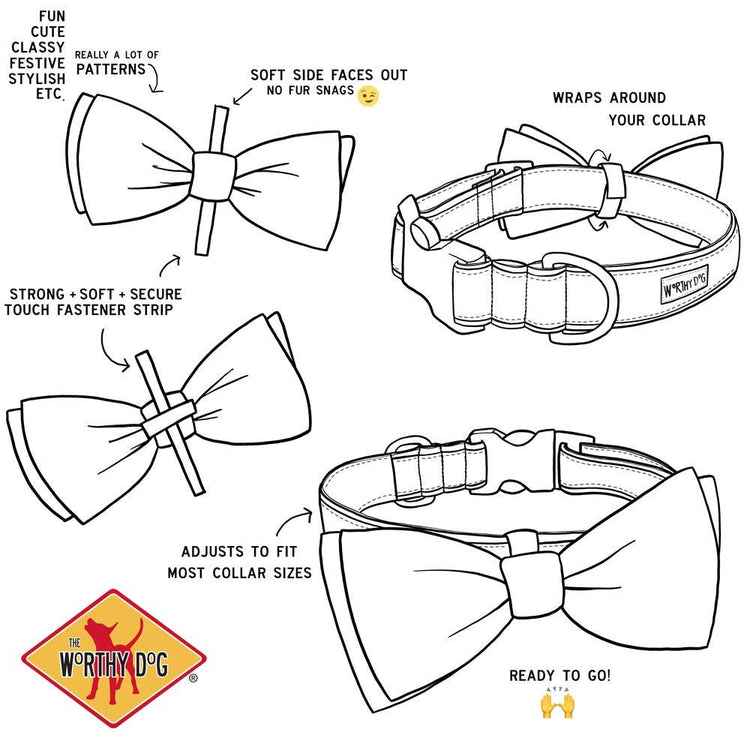 Lucky Bow Tie