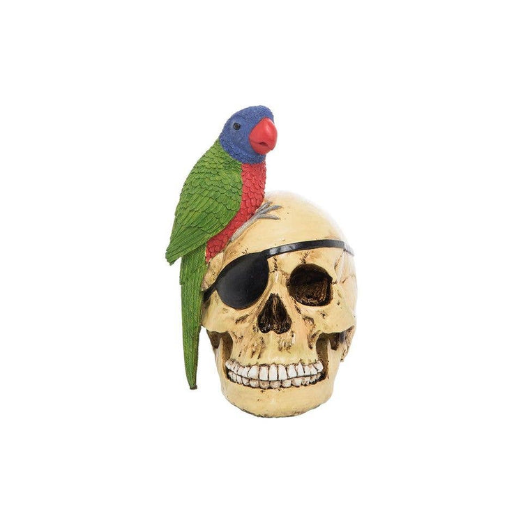 Skull with Parrot Resin Accent