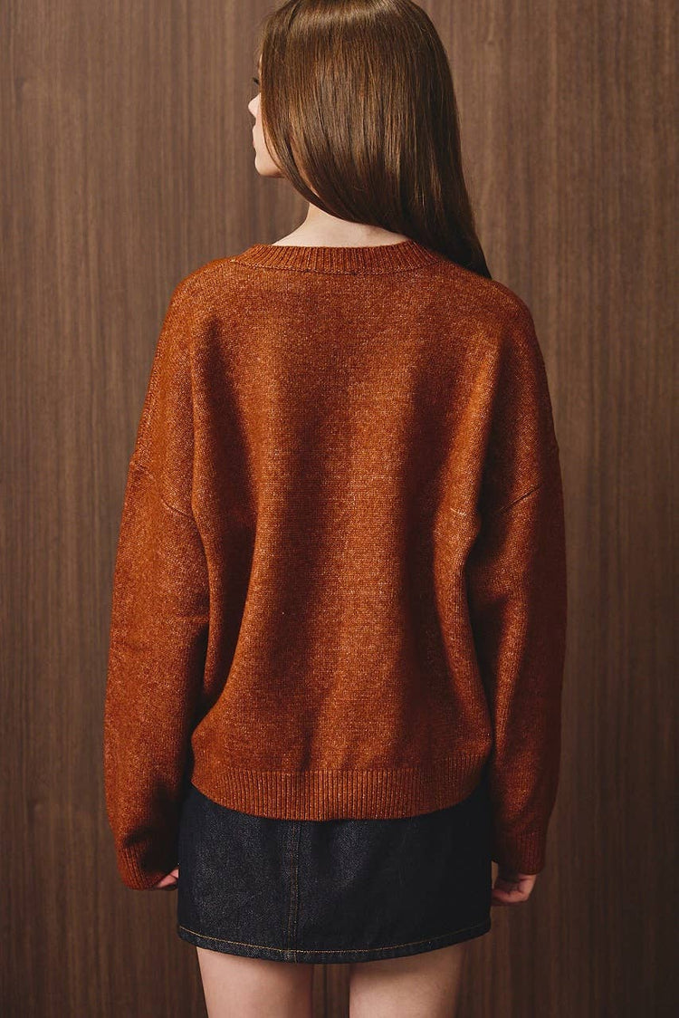 "PUMPKIN SWEATER DOODLE DOG" LONG SLEEVE CREW NECK SWEATER