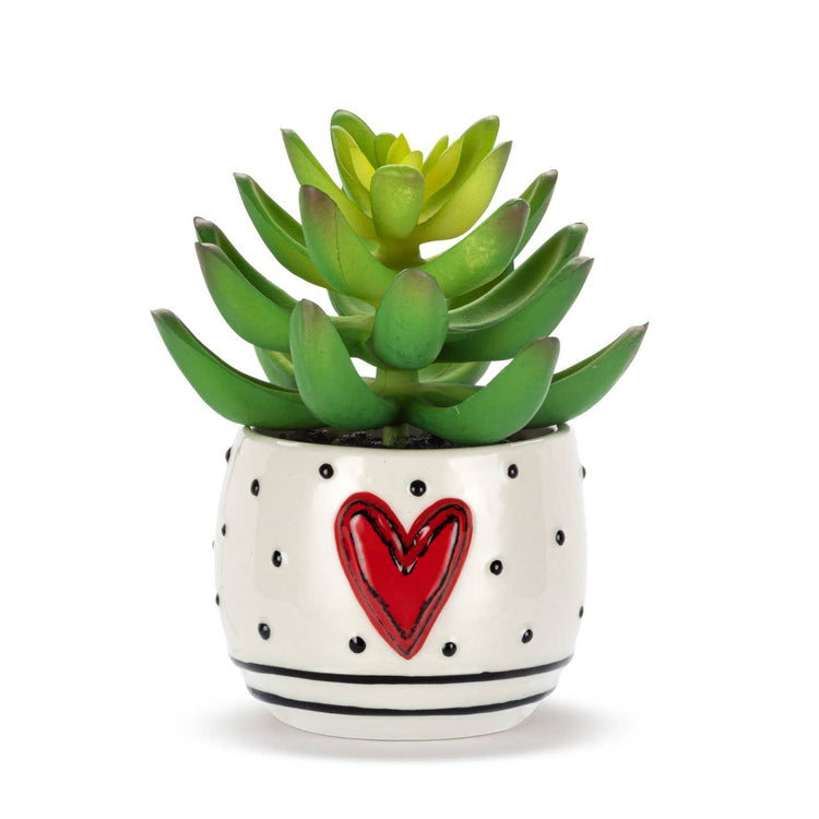 Mini Succulent - Heart & Dots