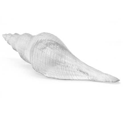 Large Clear Resin Fusos Shell