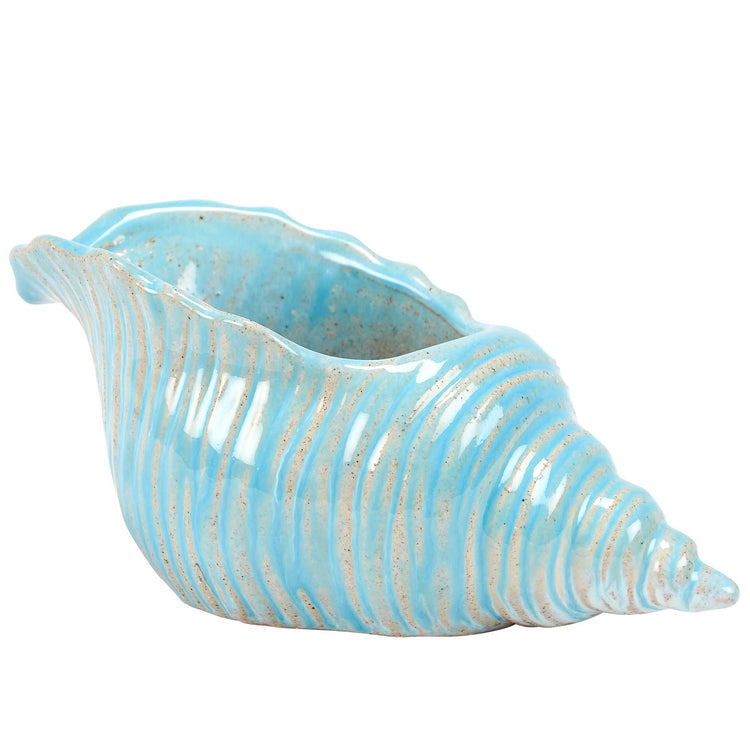 Conch Shell Planter