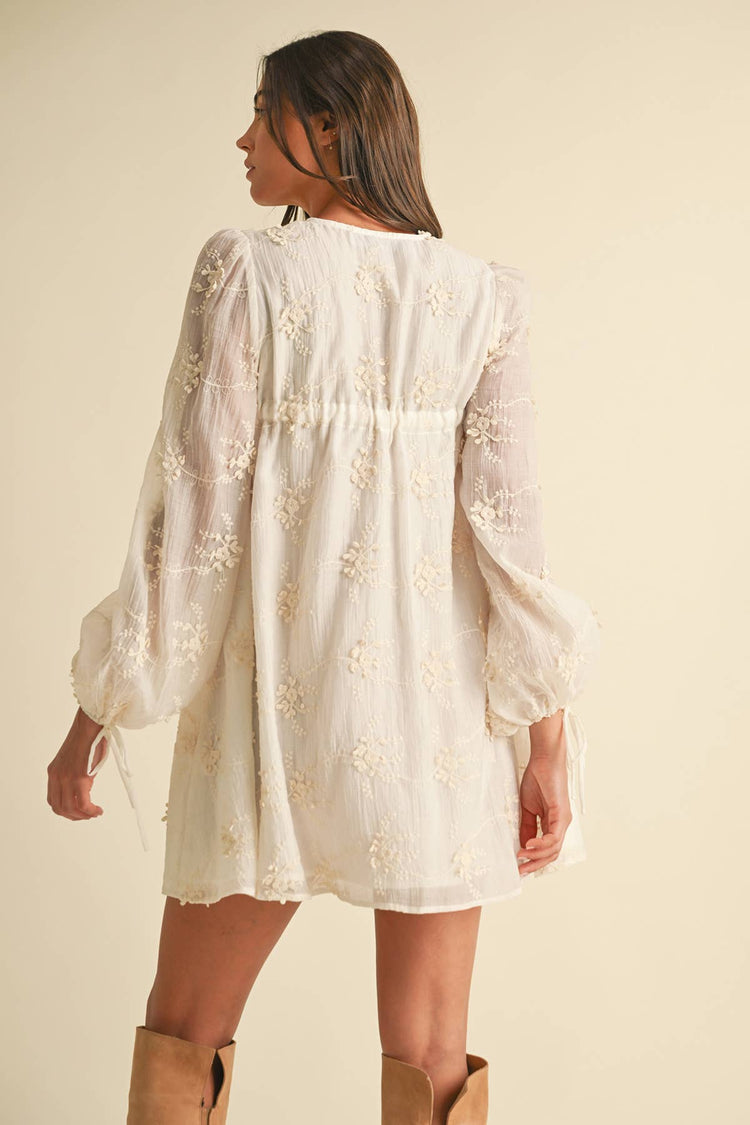 Embroidered Long Sleeve Mini Dress