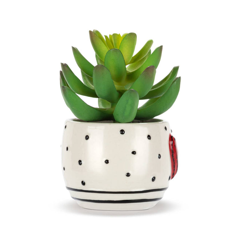 Mini Succulent - Heart & Dots