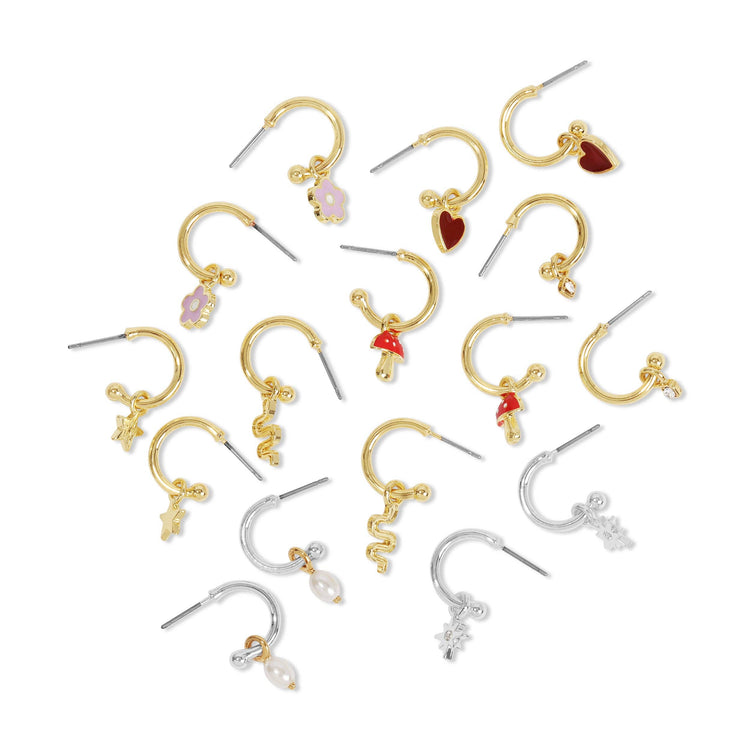 Splendid Earrings(64 pc)