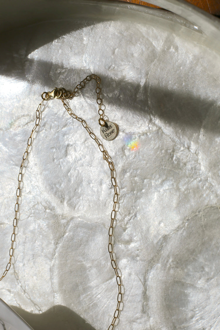 Atlanta Fancy Seahorse Necklace