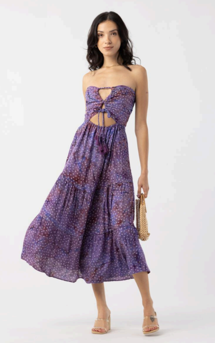 Tahiti Maxi Dress in Dot Plum Fabric