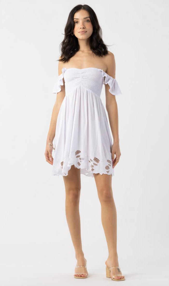Serendipity Mini Dress