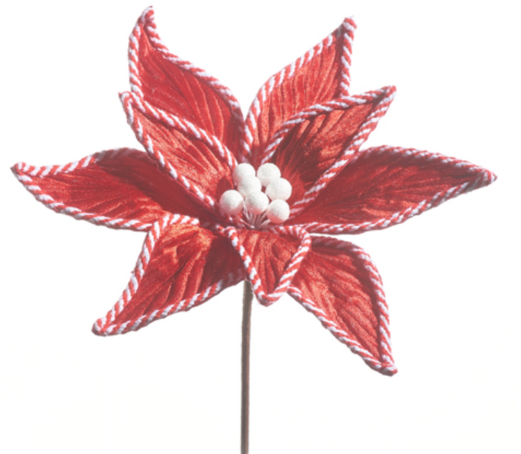Red Velvet Poinsettia Stem
