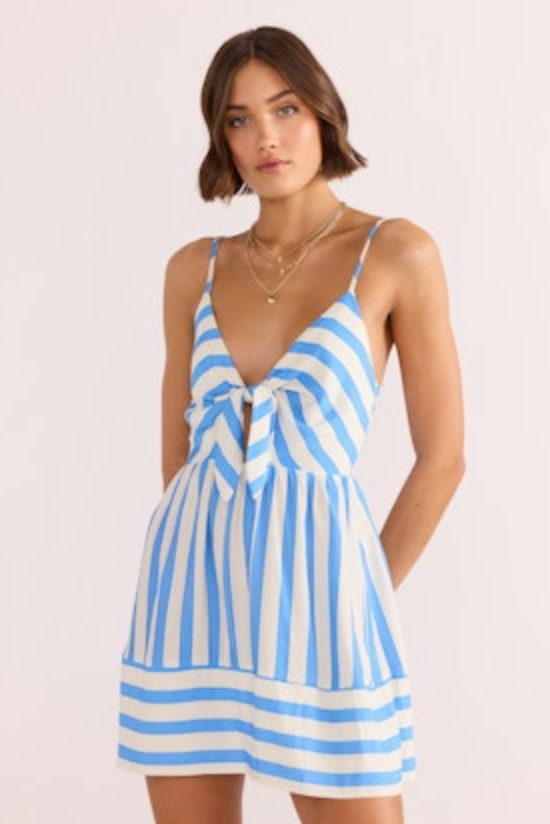 Blue Stripe Mini Dress