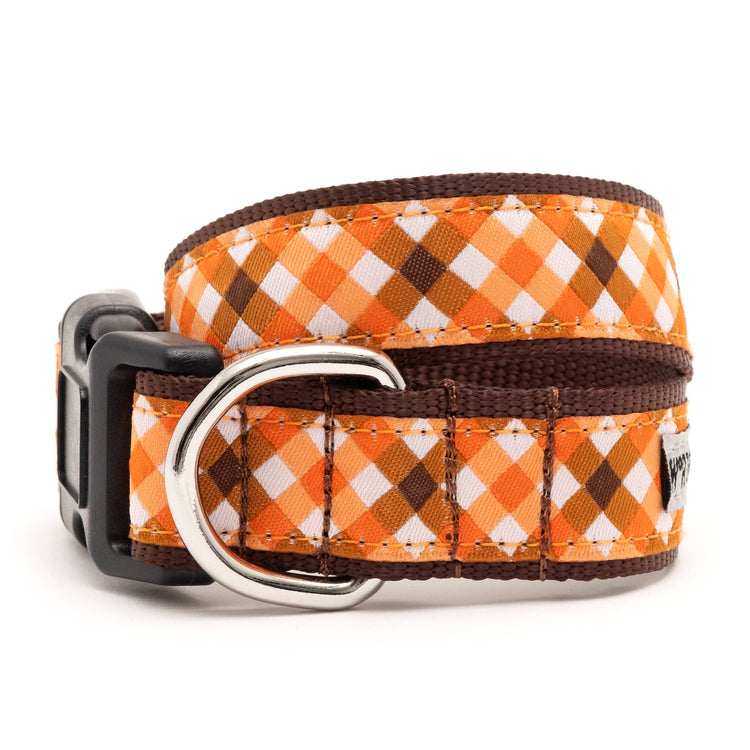 Fall Check Collar