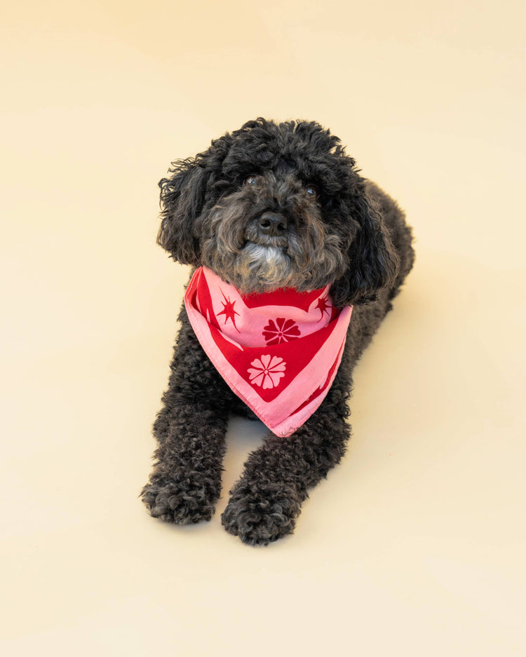Happiness Bandana Collection