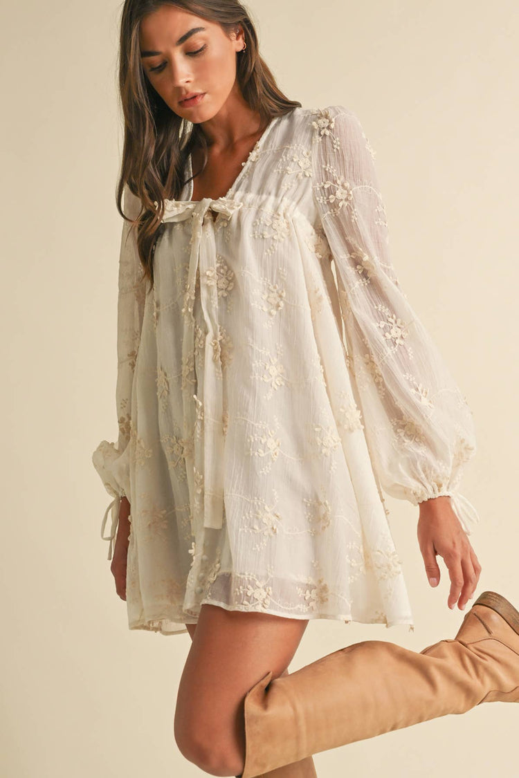 Embroidered Long Sleeve Mini Dress