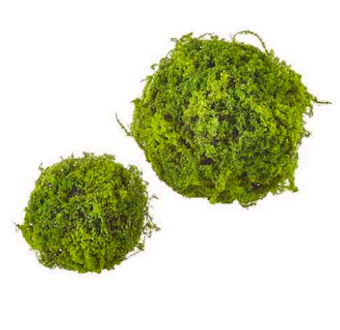 Moss Balls