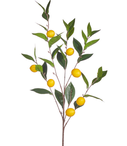 Lemon Spray Branch