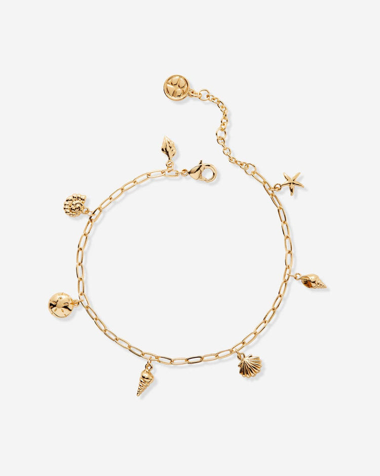 Sea Seeker Charm Bracelet
