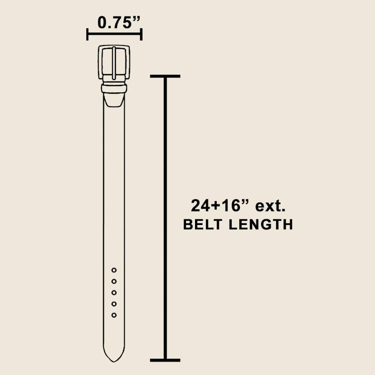 Seashell Chain Belt