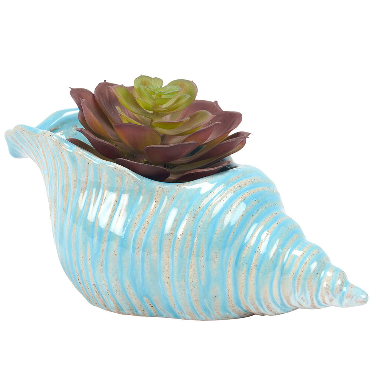 Conch Shell Planter