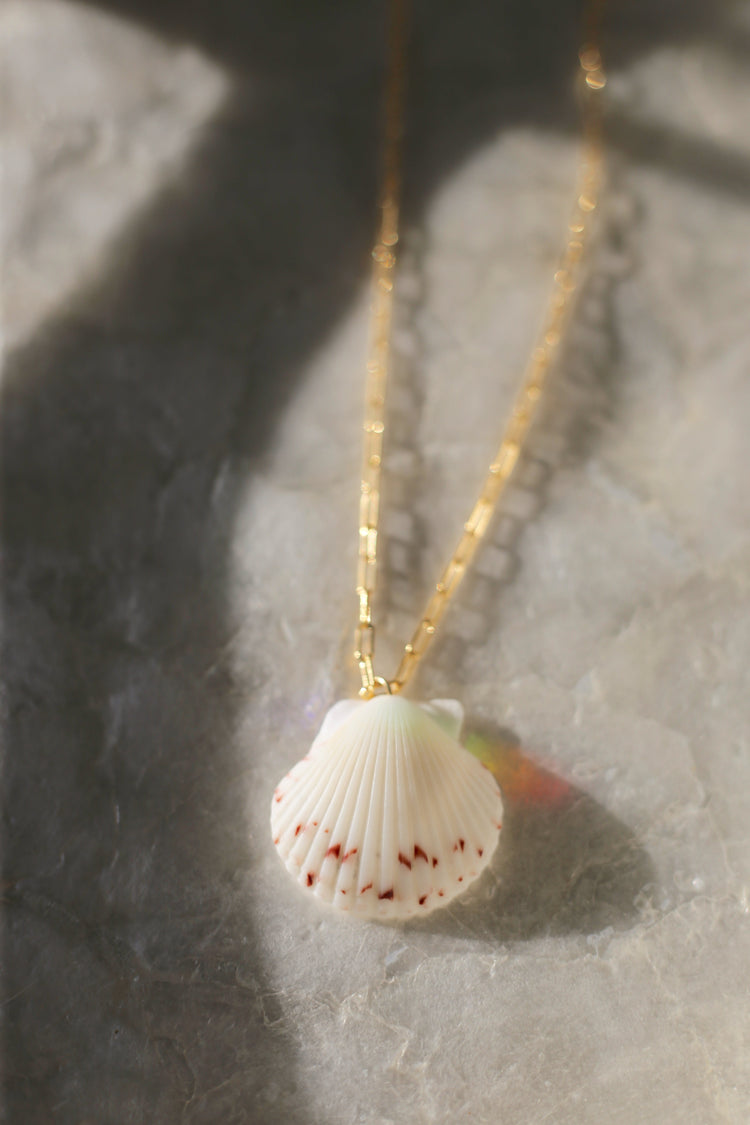 Laguna Shell Necklace