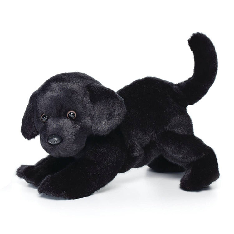 Black Labrador Large