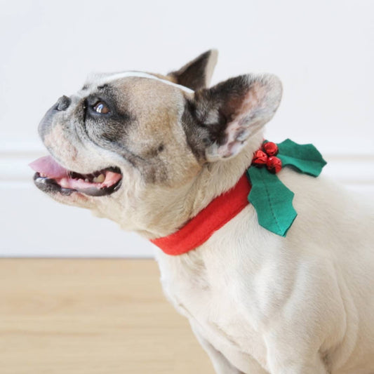 Christmas Dog Collar Accessory | Pet Collar |