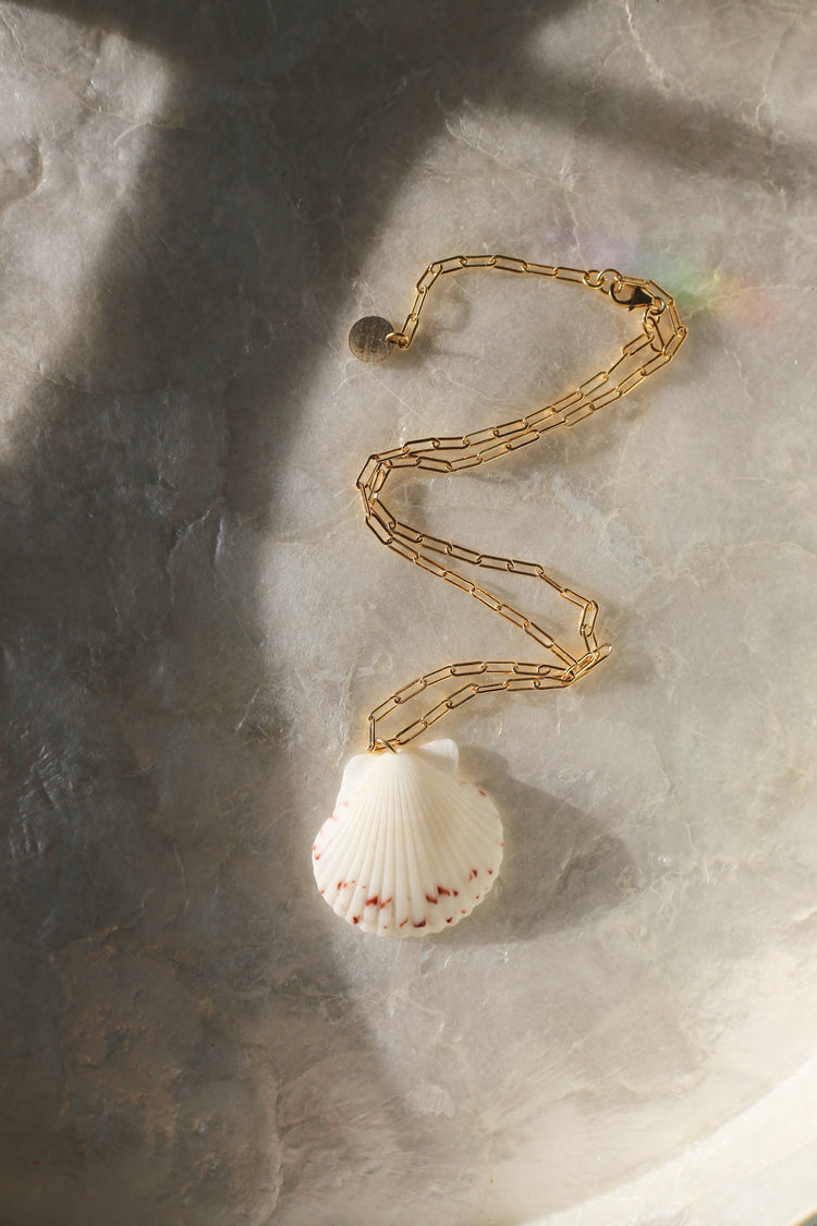 Laguna Shell Necklace