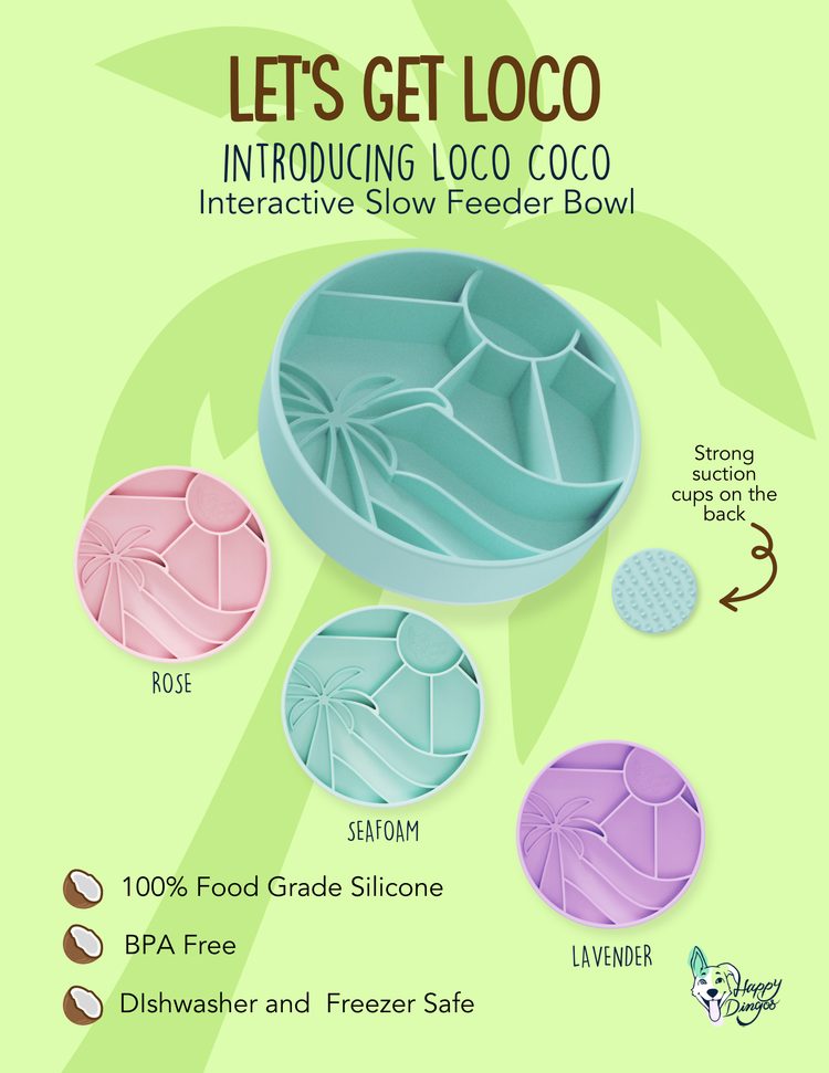 Loco Coco Interactive Slow Feeder Bowl