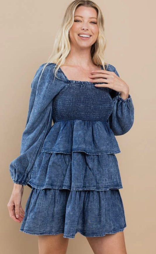 Chambray Ruffle Dress
