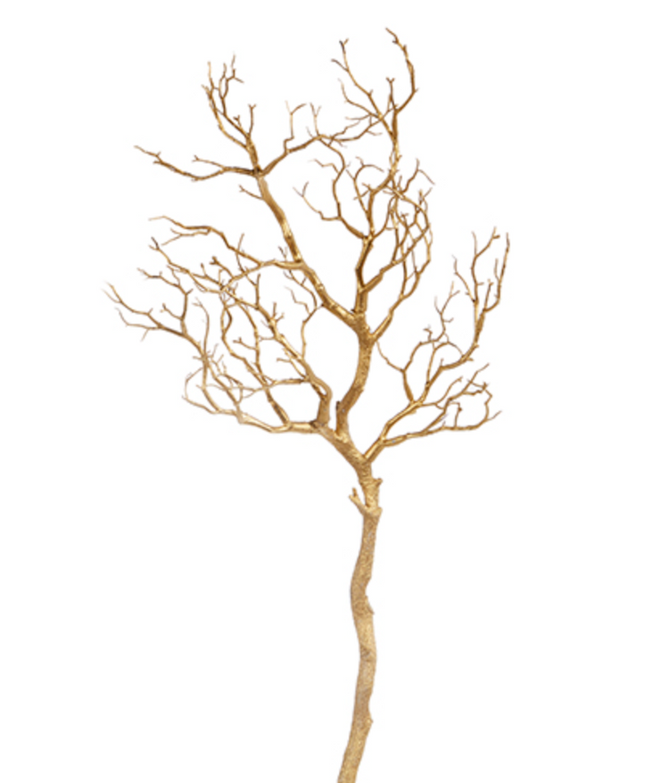 Gold Manzanita Branch