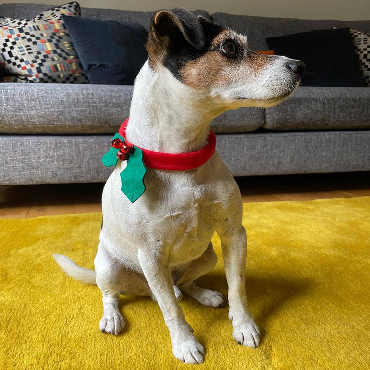 Christmas Dog Collar Accessory | Pet Collar |