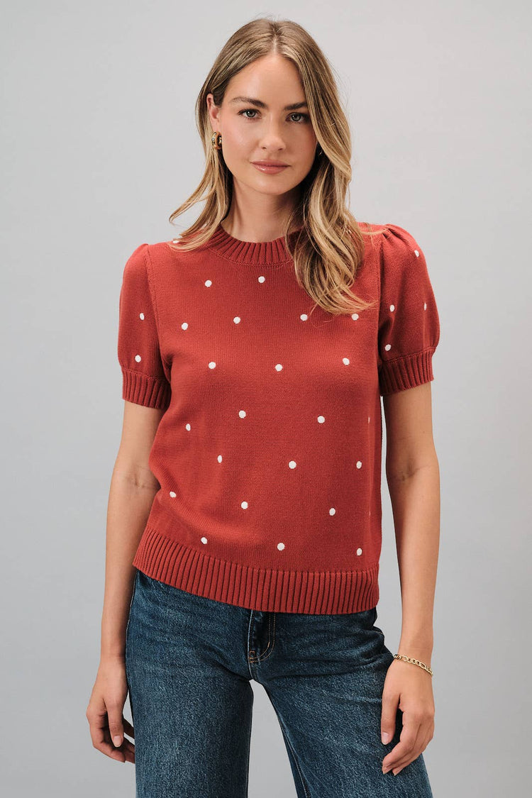 Embroidered Polka Dot Short Puff Sleeve Knit Sweater