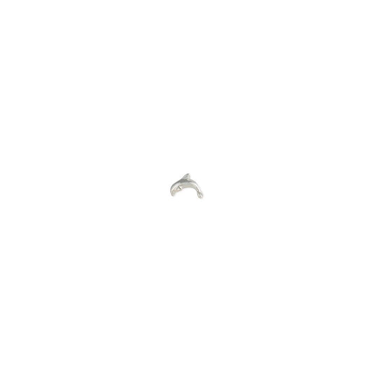 Coastal Charm Silver Dolphin Post Earrings