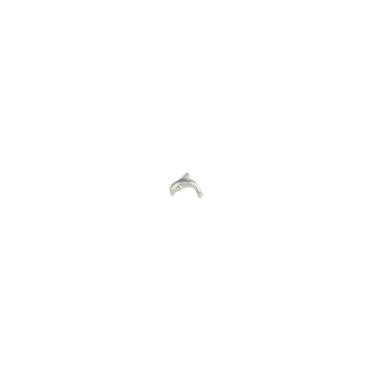 Coastal Charm Silver Dolphin Post Earrings