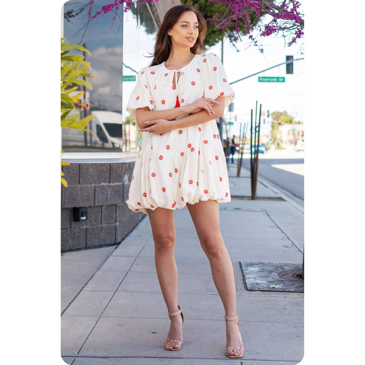 Embroidered Textured Mini Dress