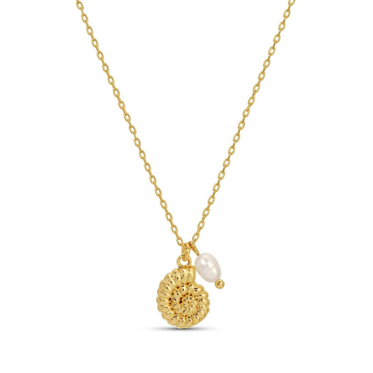 Spiral Shell Pendant Necklace with Freshwater Pearl