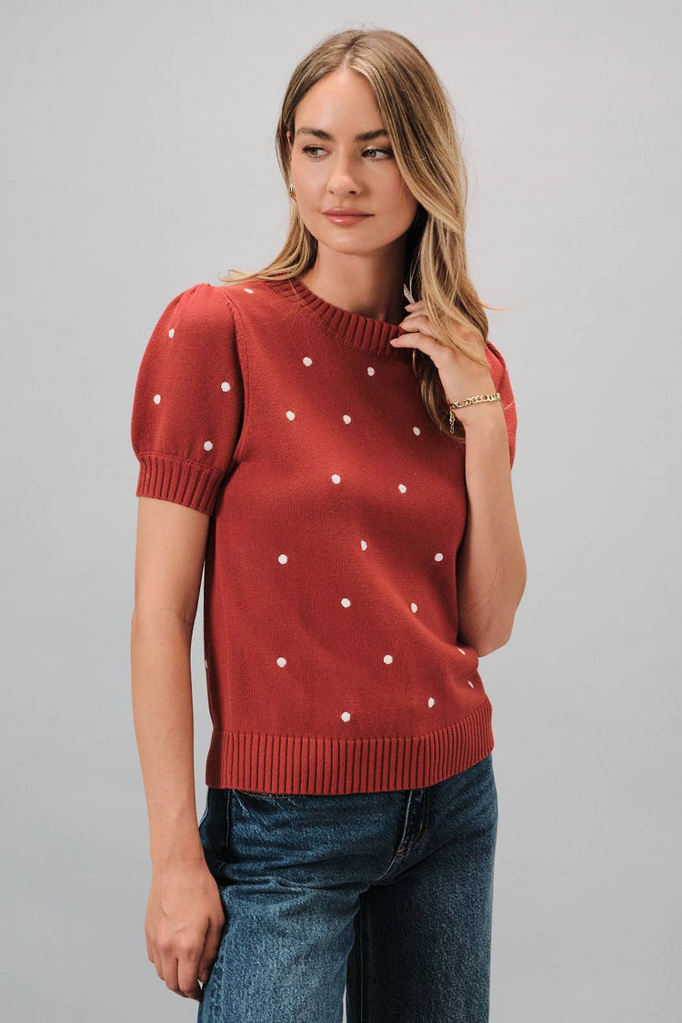 Embroidered Polka Dot Short Puff Sleeve Knit Sweater