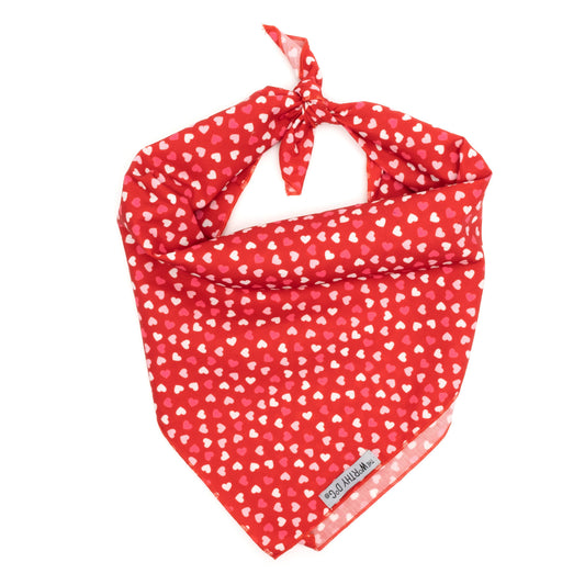 Cupid Bandana