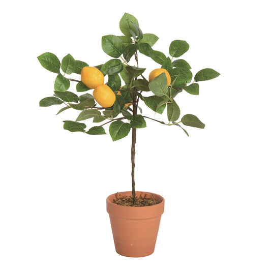 Everyday Faux Lemon Tree in Terracotta Pot
