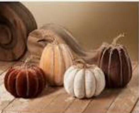 Velvet Pumpkins